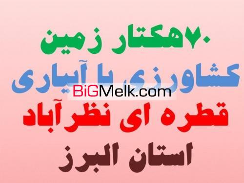 70 هکتار  زمین کشاورزی با چاه آب اختصاصی در نظرآباد