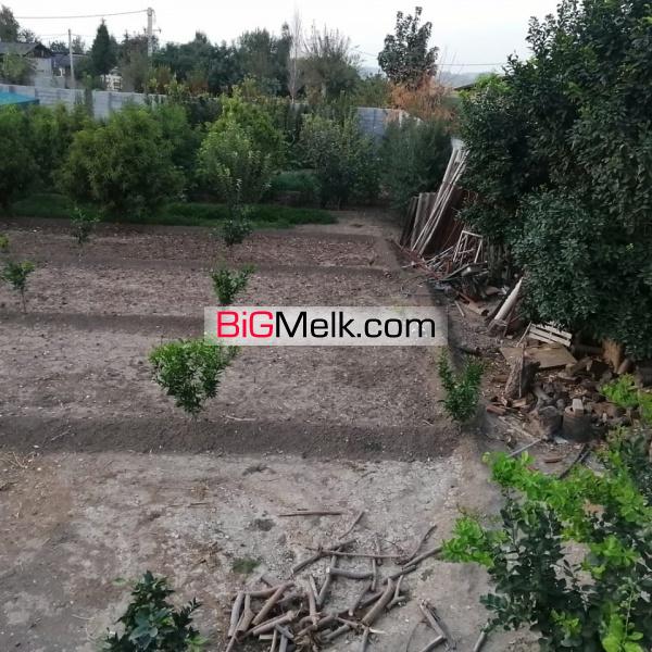فروش باغ ویلا