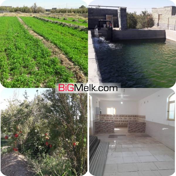 2هکتار زمین کشاورزی با ساخت