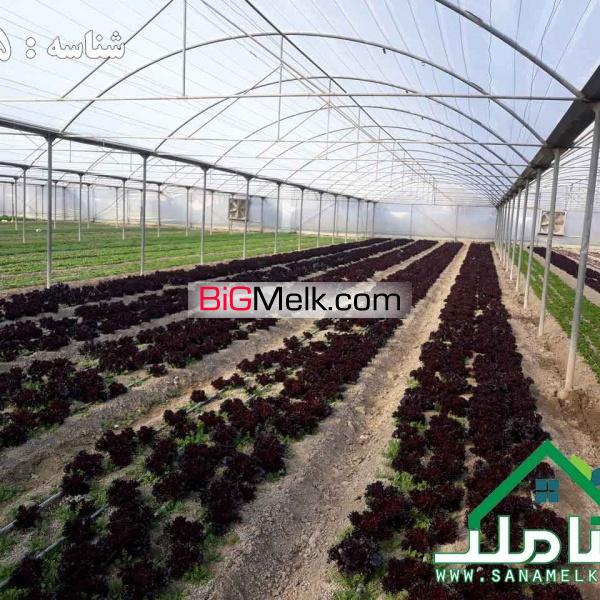 فروش گلخانه مجهز با پروانه در ماهدشت