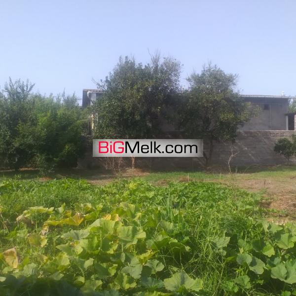 فروش زمین فریدونکنار به متراژ ۴۱۲ متر