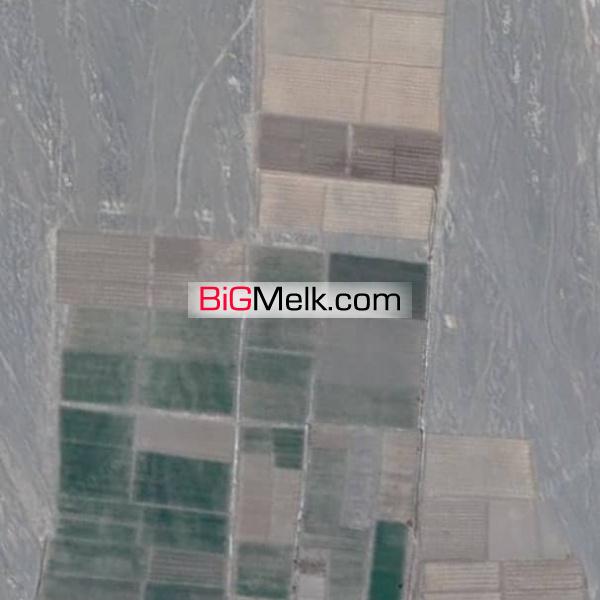 فروش و اجاره زمین مزرعه کشاورزی