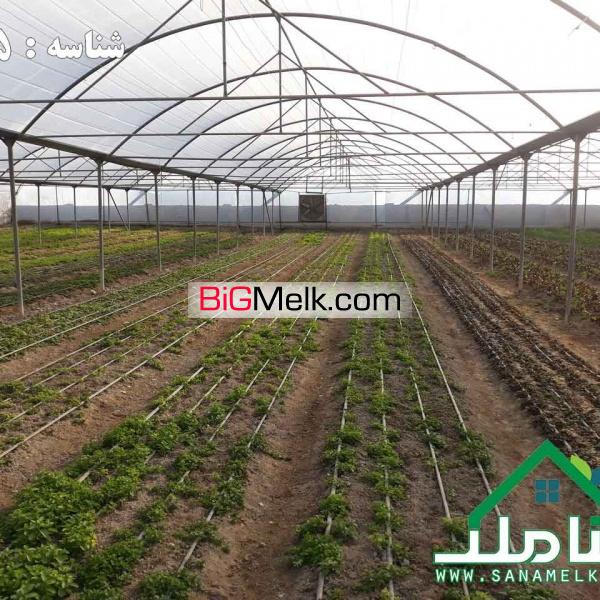 فروش گلخانه مجهز با پروانه در ماهدشت
