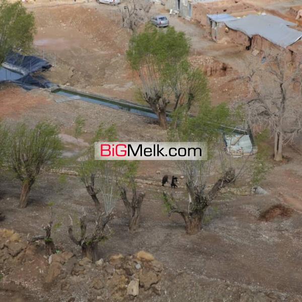 زمین ویلایی و کشاورزی