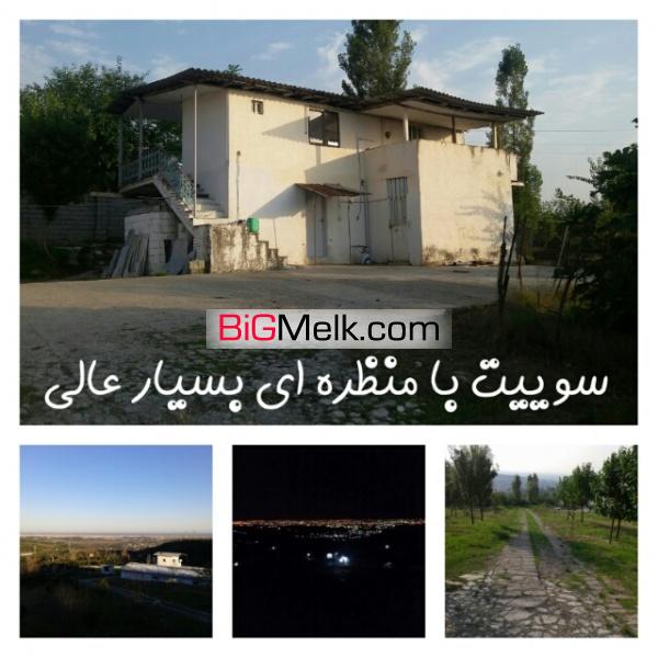 فروش مرغداری مرغ گوشتی