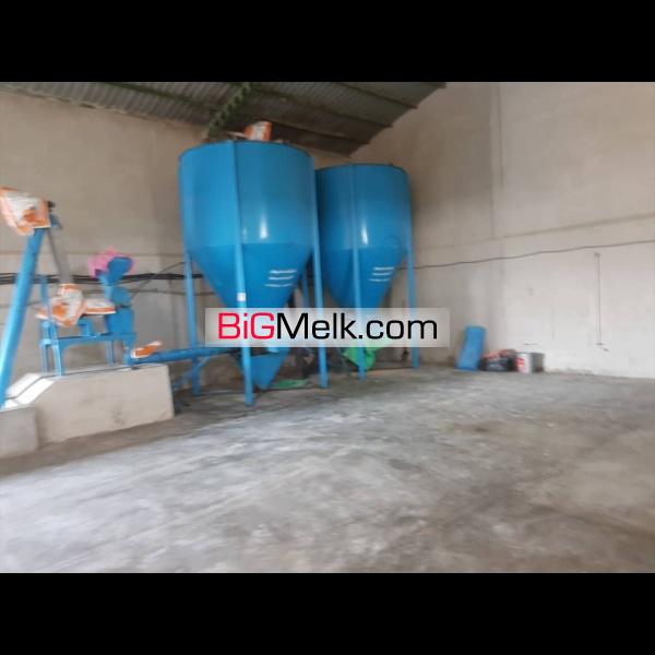 مرغداری ۵۰،۰۰۰ قطعه ای در مازندران
