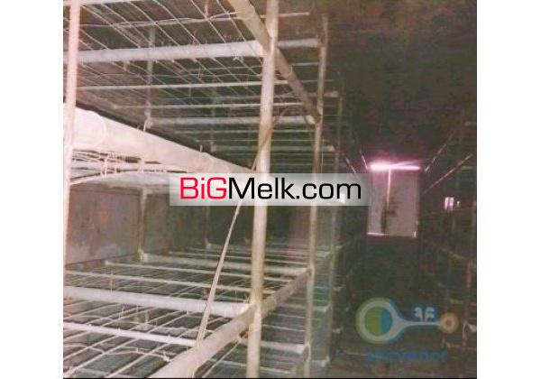 فروش واحد تولید قارچ خوراکی صنعتی در مرودشت فارس