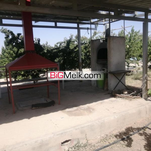 باغ ویلای 1500 متری سر سبز واقع در امند