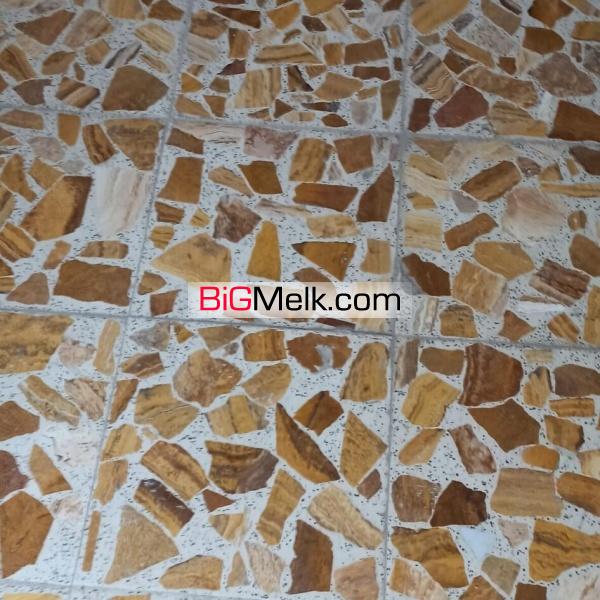 موزاییک لاشه لیمویی