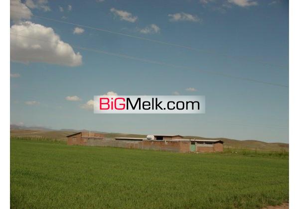 فروش دامداری پروار بندی گوساله کنار جاده اردبیل-مشگین