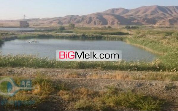 فروش پرورش ماهی گرم ابی لرستان 11 هکتار