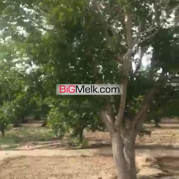 فروش مرغداری در 10 کیلومتری شهرضا اصفهان