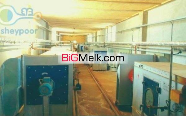 فروش واحد تولید قارچ خوراکی صنعتی در مرودشت فارس