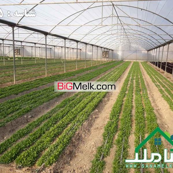 فروش گلخانه مجهز با پروانه در ماهدشت