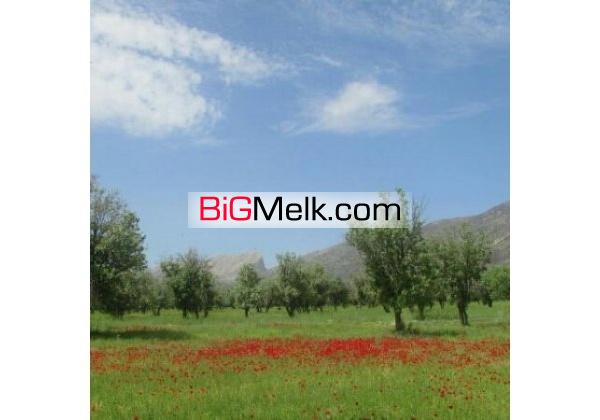 4500 متر زمین بین راهی شیراز.کازرون