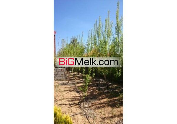 945 متر باغشهر سپیدان با ویلا فارس