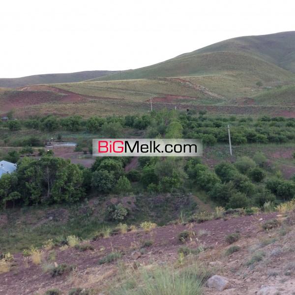 20 هکتار مزرعه با شرایط استثنایی