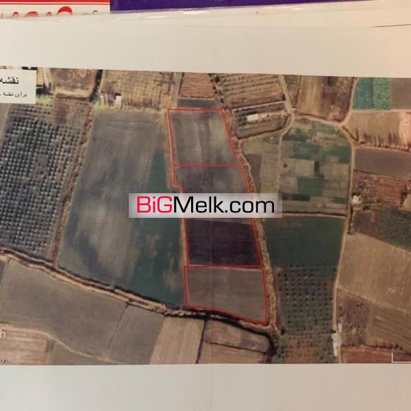* زمین کشاورزی مرغوب به متراژ 10566 متر مربع