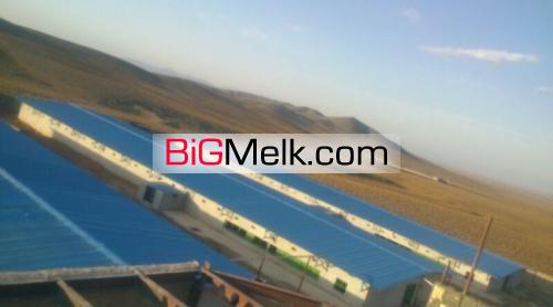 فروش مرغداری گوشتی مدرن