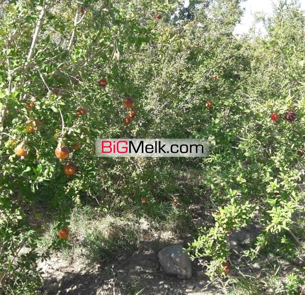 فروش 2 هکتار زمین با ساخت