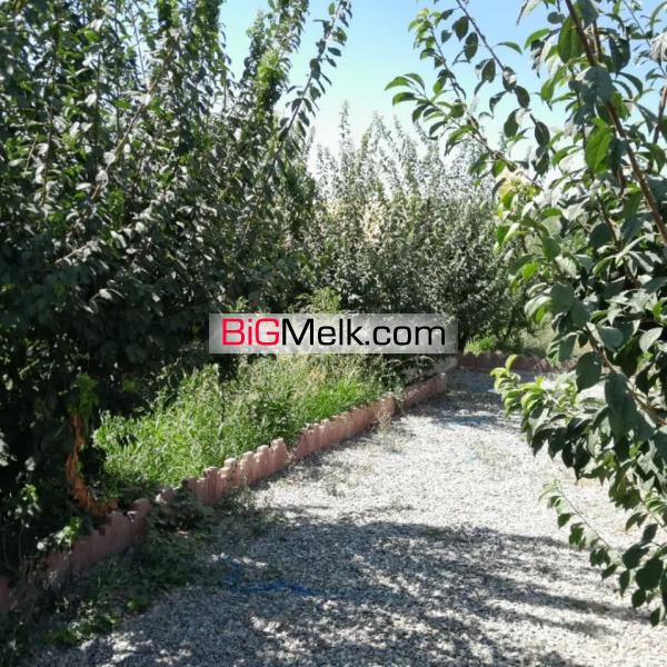 باغچه 500 متری چهردیواری کردان چهارباغ