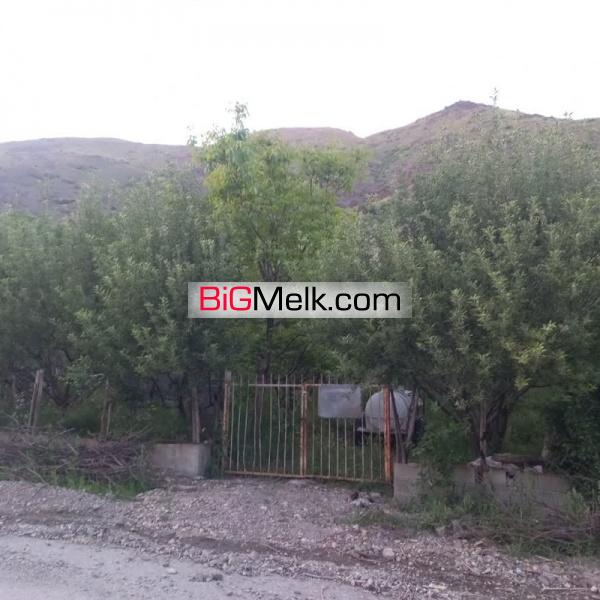 باغ روستای دهنار دماوند