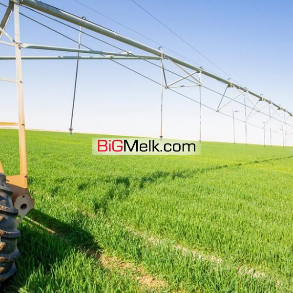 ۱۴۰ هکتار ۳۵ لیتر آب در سرخس