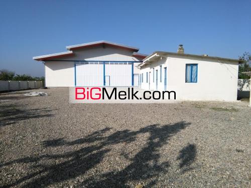 فروش کارخانه شالیکوبی  ساری