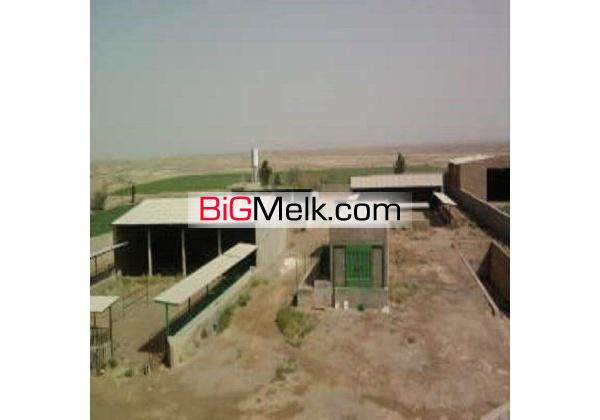 گاوداری100 راسی شیری 3 هکتار