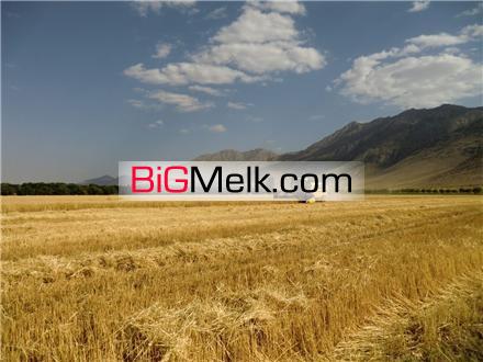 فروش 27 و 67 هکتار زمین کشاورزی  و مجتمع کشت و صنعت | مرکزی