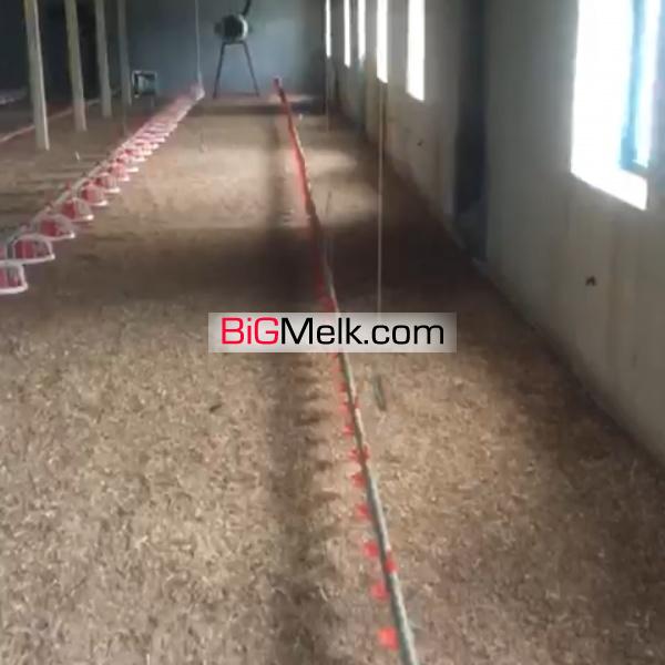 فروش مرغداری در 10 کیلومتری شهرضا اصفهان