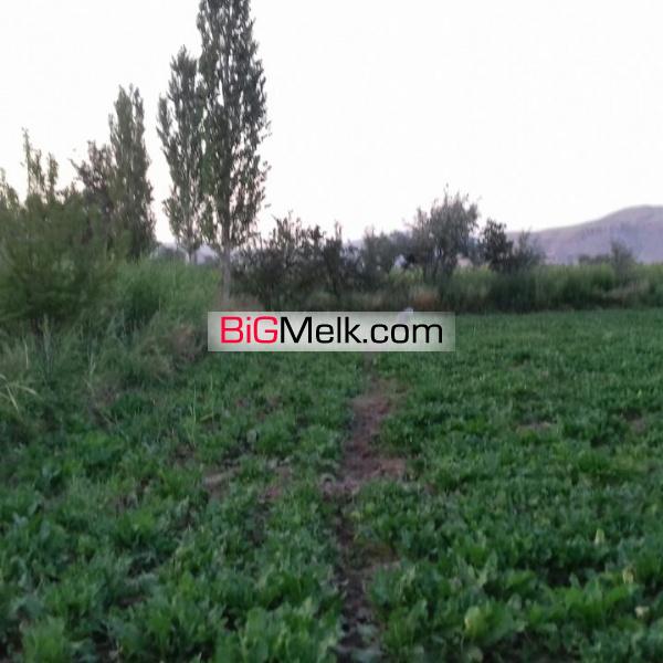 فروش زمین کشاورزی به مساحت یک هکتار
