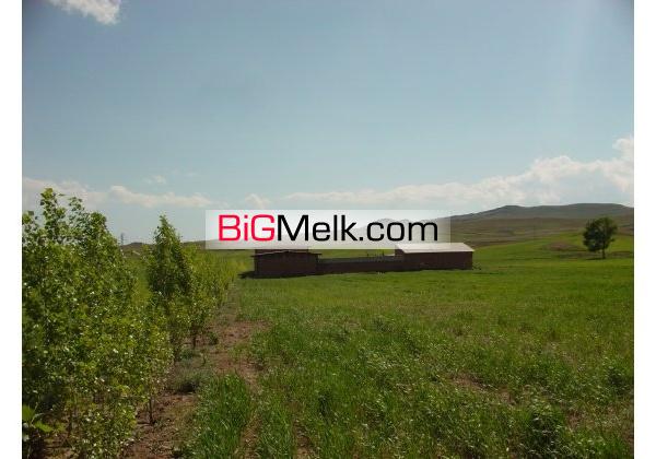 فروش دامداری پروار بندی گوساله کنار جاده اردبیل-مشگین