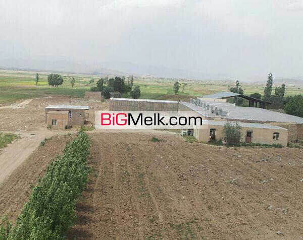 فروش شرکت کشت و صنعت سپیدقارچ کیمیا همدان ملایر