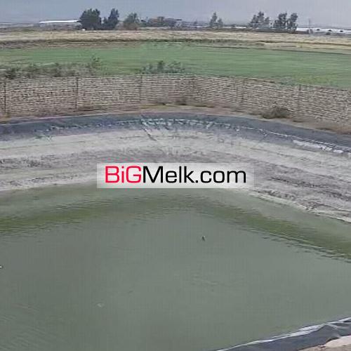زمین کشاورزی ۱۳هکتاری با آبیاری قطره ای وپمپاژازاستخر