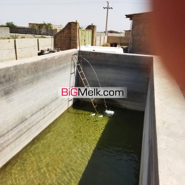 فروش مزرعه پرورش شترمرغ در ساوه