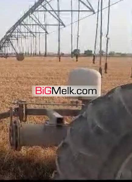 مزرعه کشاورزی ۵۰هکتاری و گاوداری