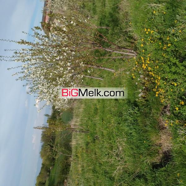 باغ میوه با فول امکانات