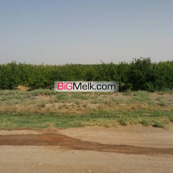 فروش و اجاره زمین مزرعه کشاورزی