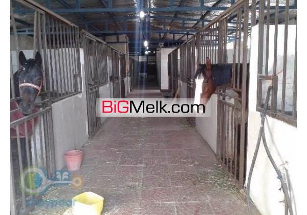 فروش باشگاه سوارکاری در گلدشت اصفهان