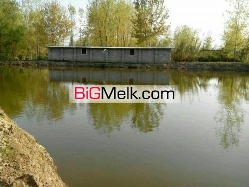 فروش یا اجاره استخر پرورش ماهی لنگرود - خالکیاسر