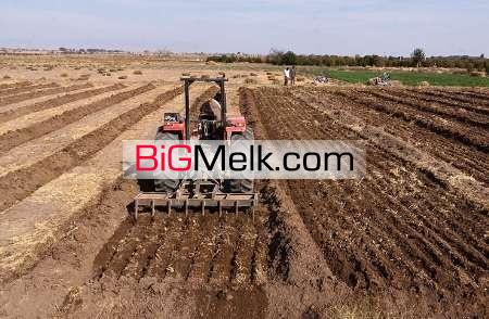 زمین کشاورزی 40هکتار سنددار باچاه آب وبرق