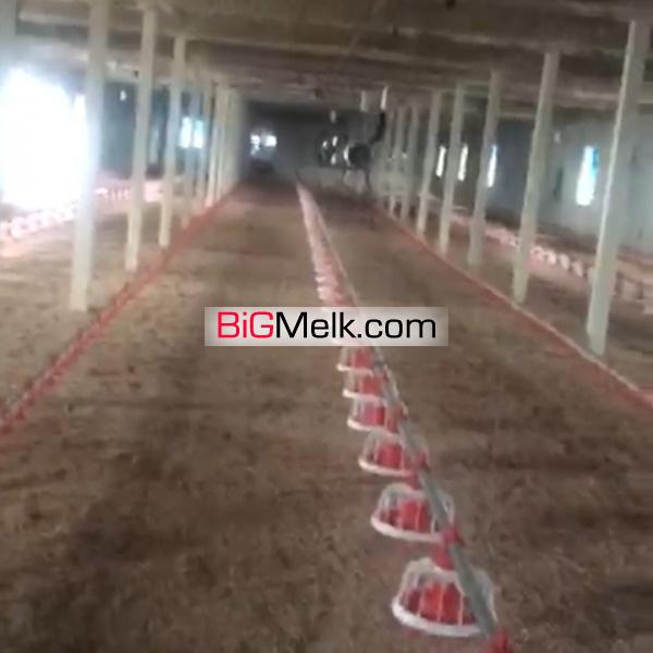 فروش مرغداری در 10 کیلومتری شهرضا اصفهان
