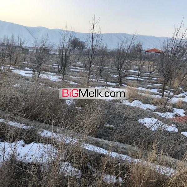 ۲۲۰۰ متر باغ در کلفور فیروزکوه