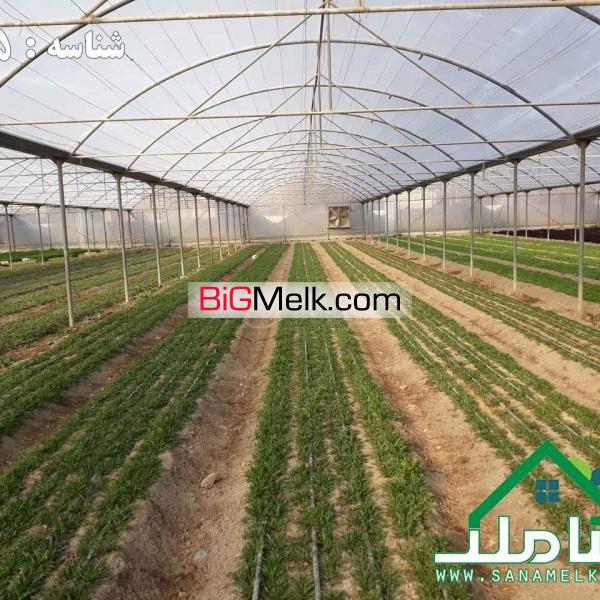 فروش گلخانه مجهز با پروانه در ماهدشت