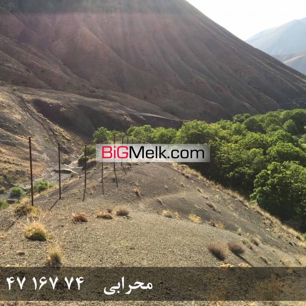 فروش باغ گردو در روستای خوش آب و هوا و ییلاقی گیلوان