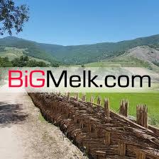 فروش زمین با مجوز مرغداری در اراک