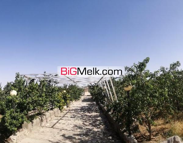 باغ ویلای 1500 متری سر سبز واقع در امند