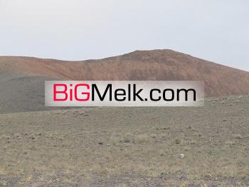 فروش دامداری و دامپروری گوسفندی