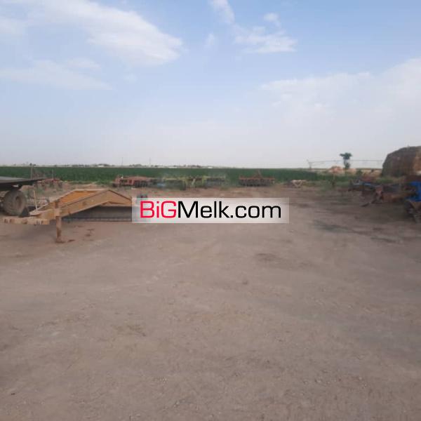 مزرعه کشاورزی ۵۰هکتاری و گاوداری